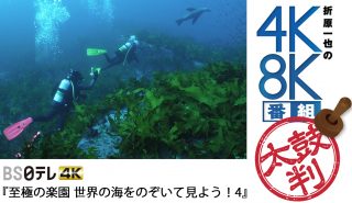 “こじるり”がナビゲート！<br>ダイビング体験が味わえる4K番組
